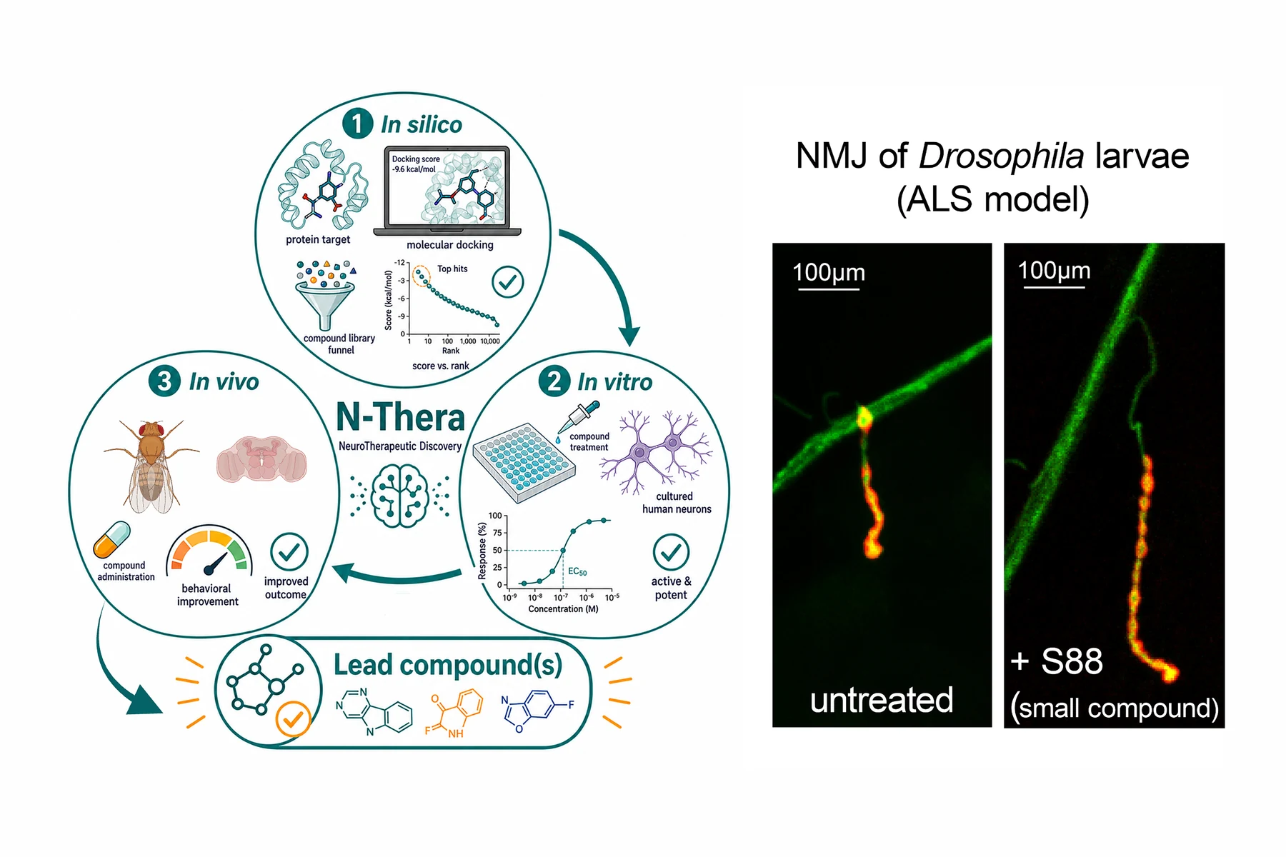 NeuroTherapeutic Discovery
